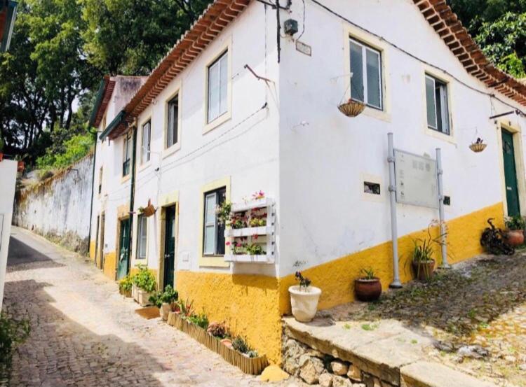 Pe Do Castelo Pet Friendly - Studio & Garage Villa Томар Екстериор снимка